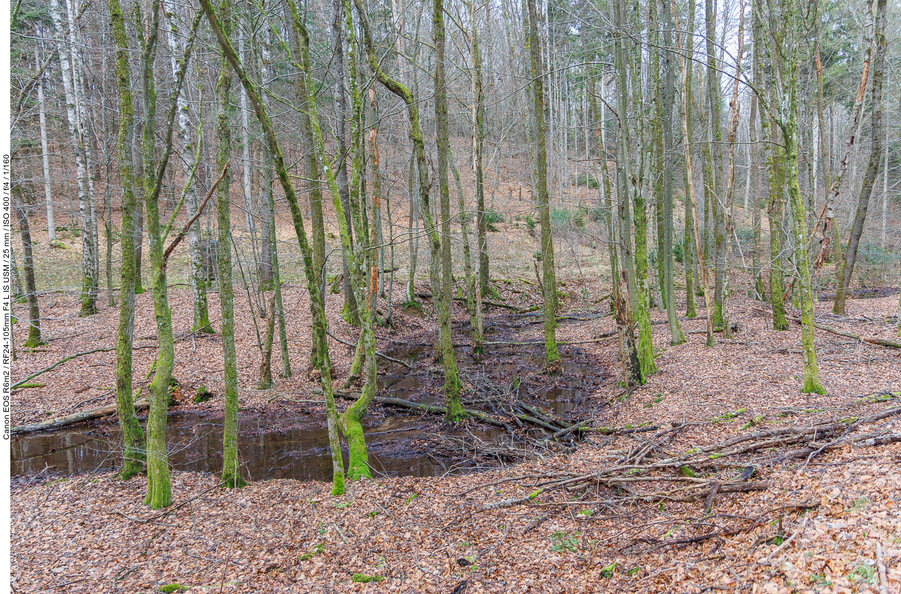 Feuchtgebiet