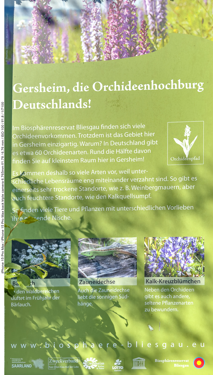 Infos zum Orchideengebiet