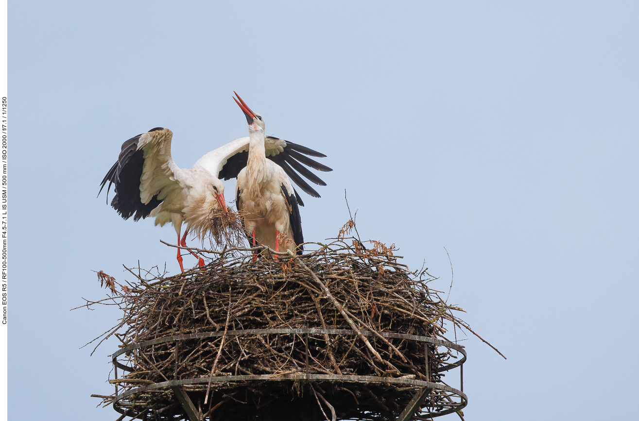 ... und touchdown ;-)