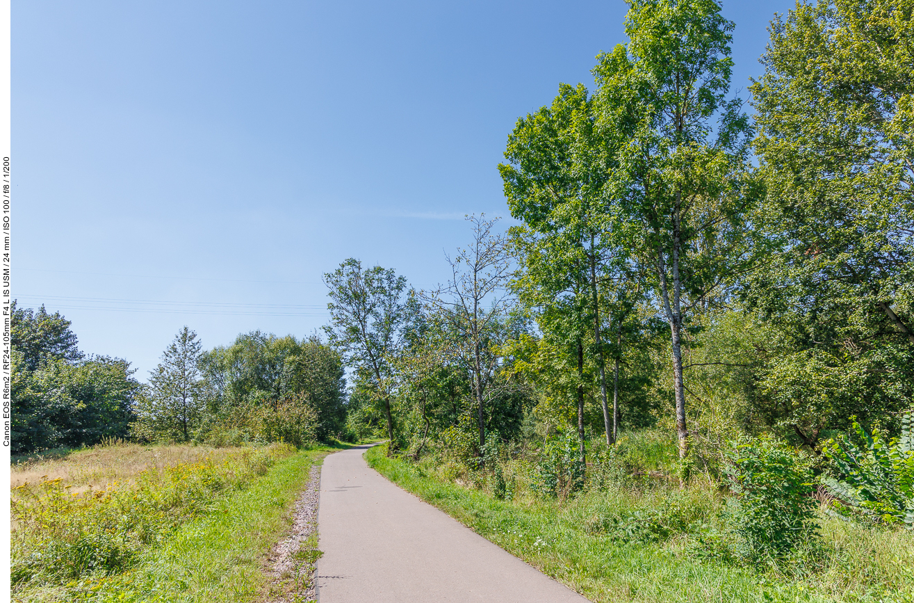 Geteerter Weg am Ufer der Prims