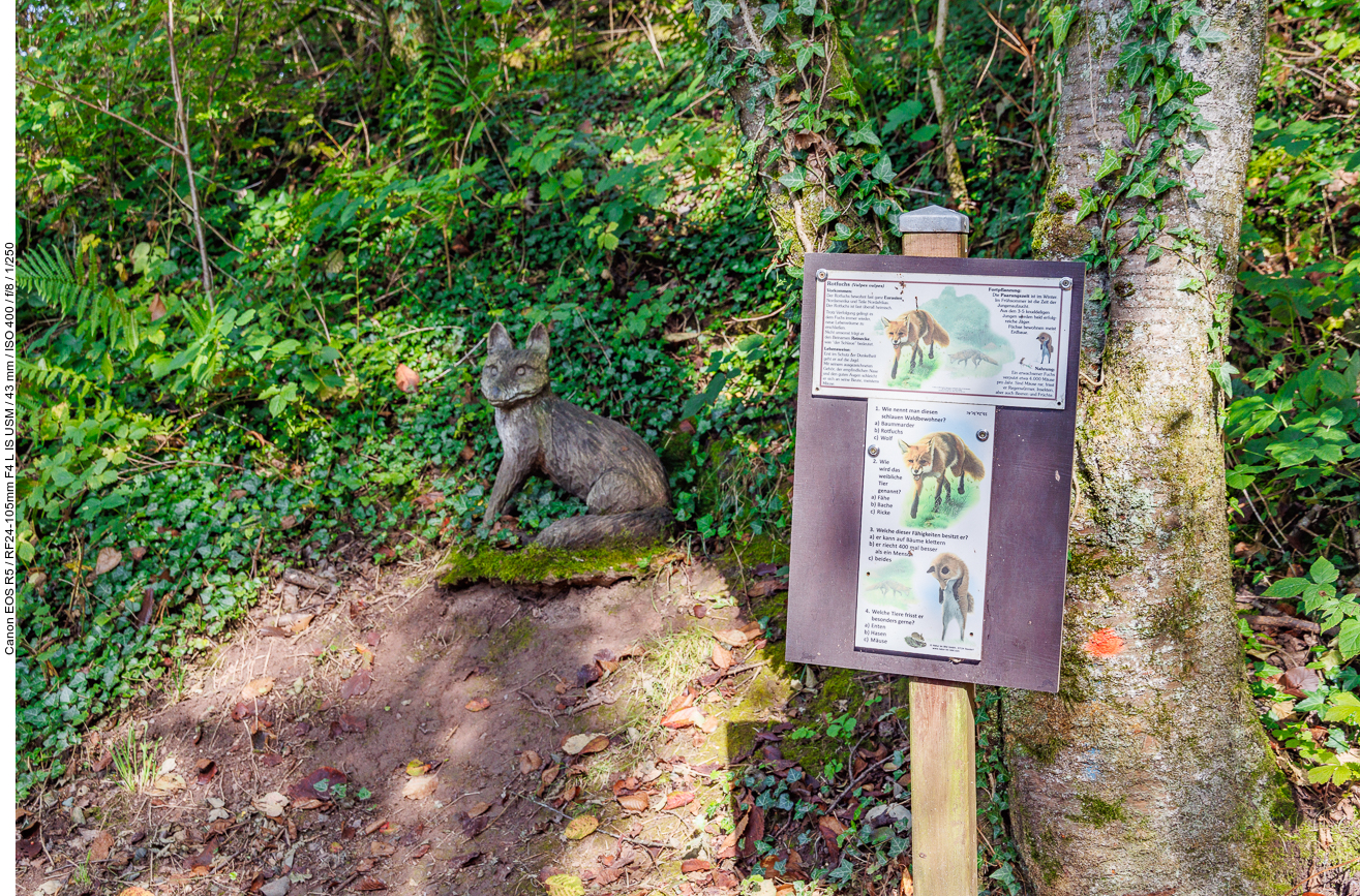 Infos zum Fuchs