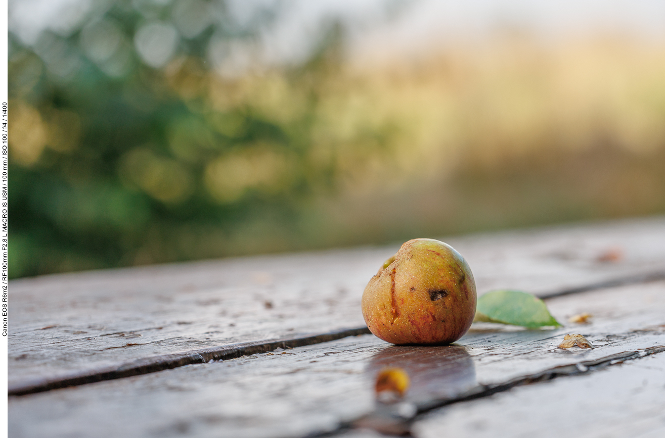 Apfel am Rastplatz