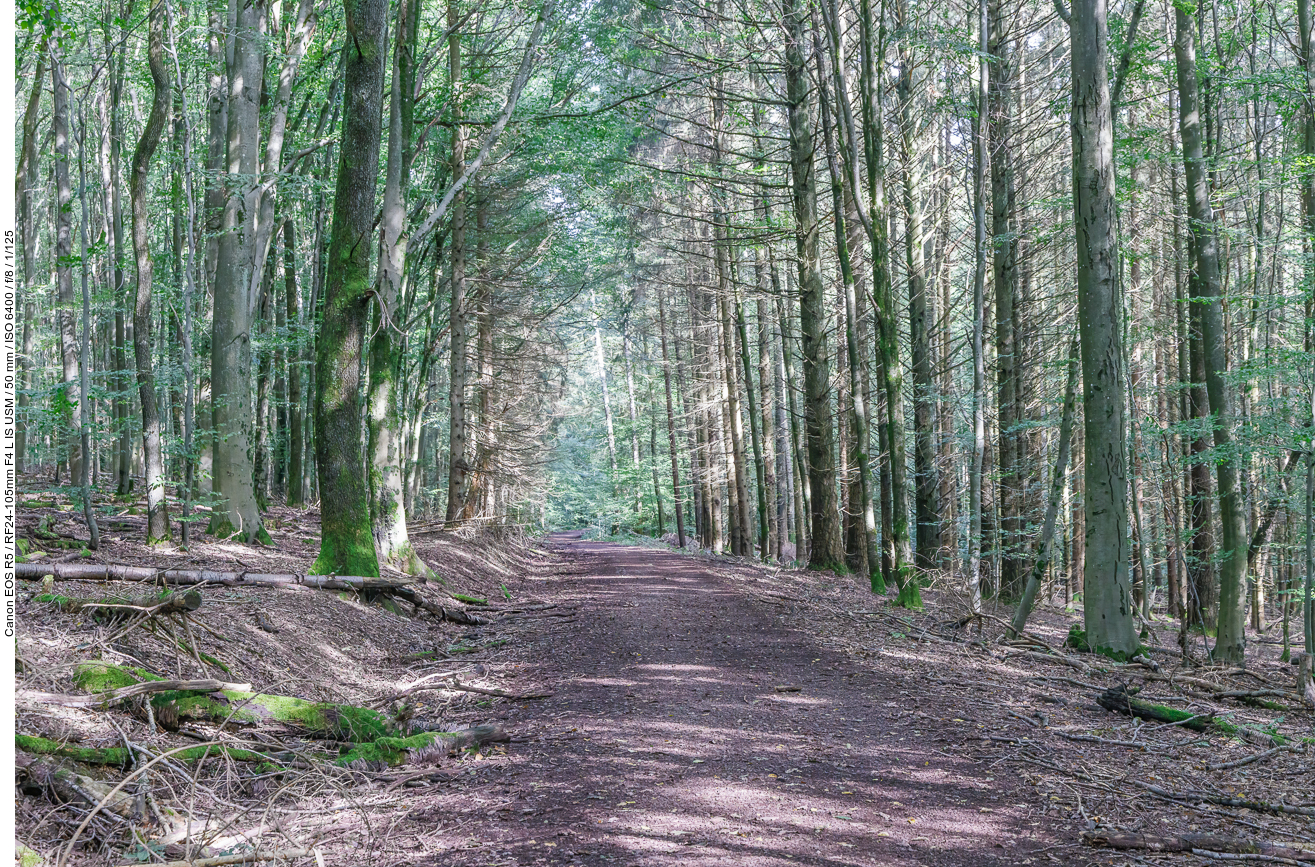 Waldautobahn