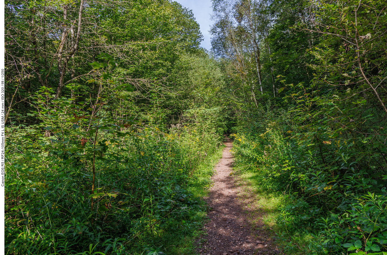 Singletrail
