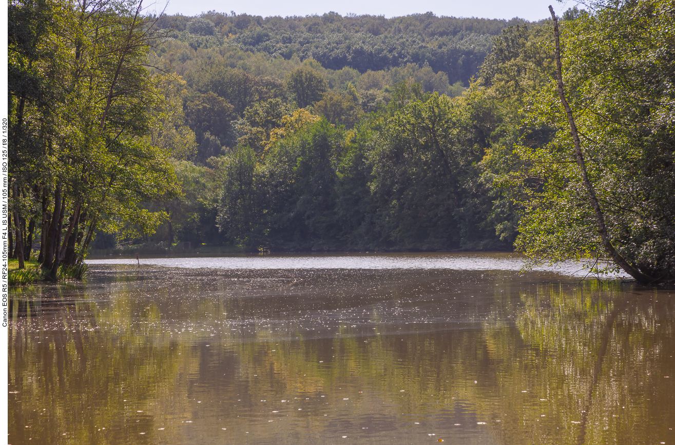 Am Netzbachweiher