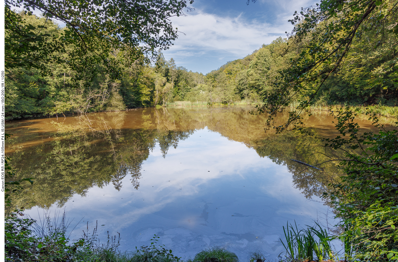 Am Netzbachweiher