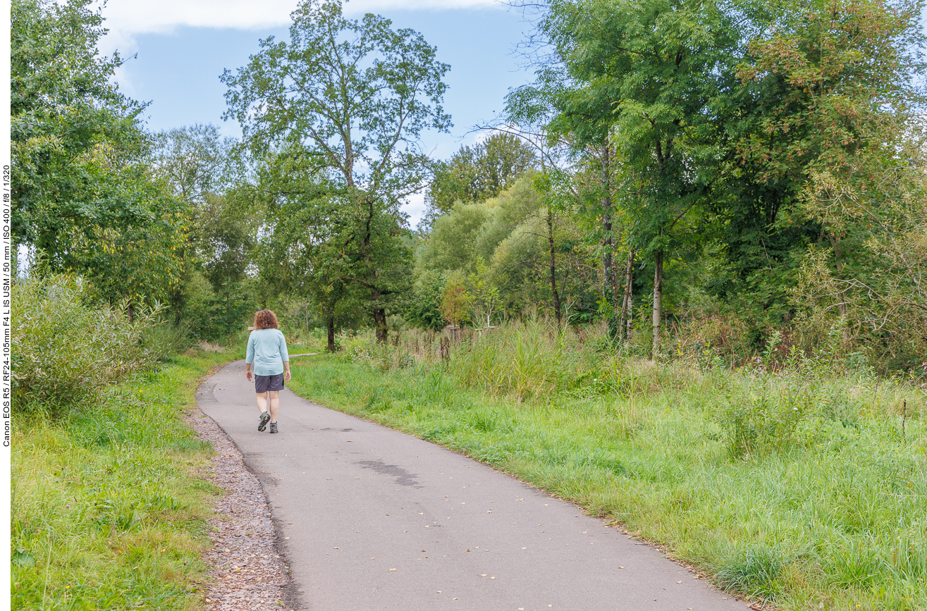 Weg an der Prims