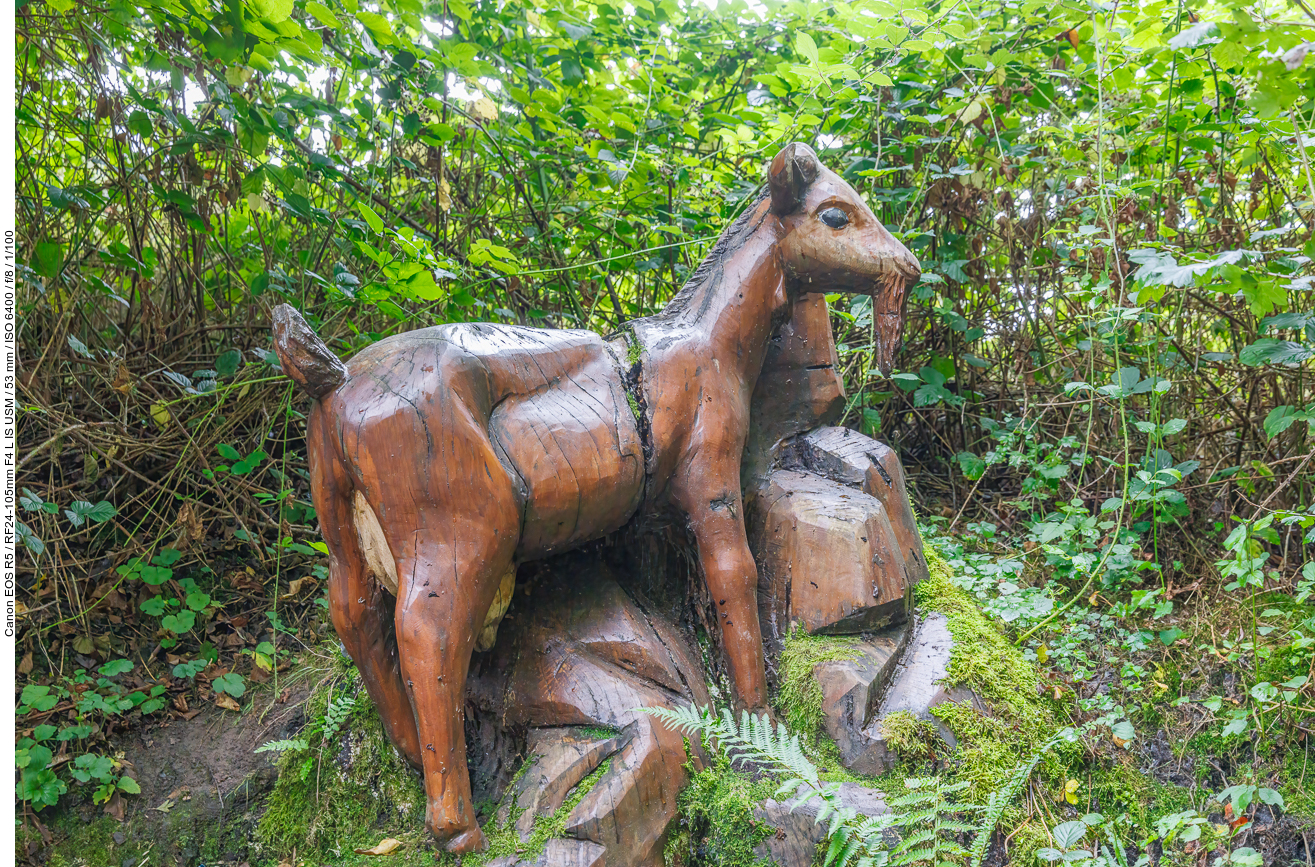 Die Bergmannskuh