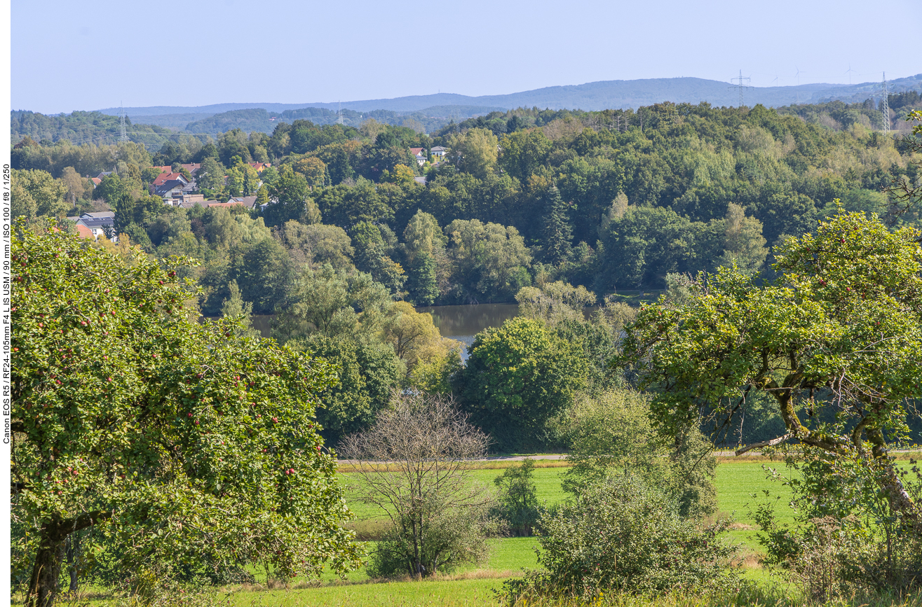 Zwischen den Bäumen ist der Noswendeler See zu sehen