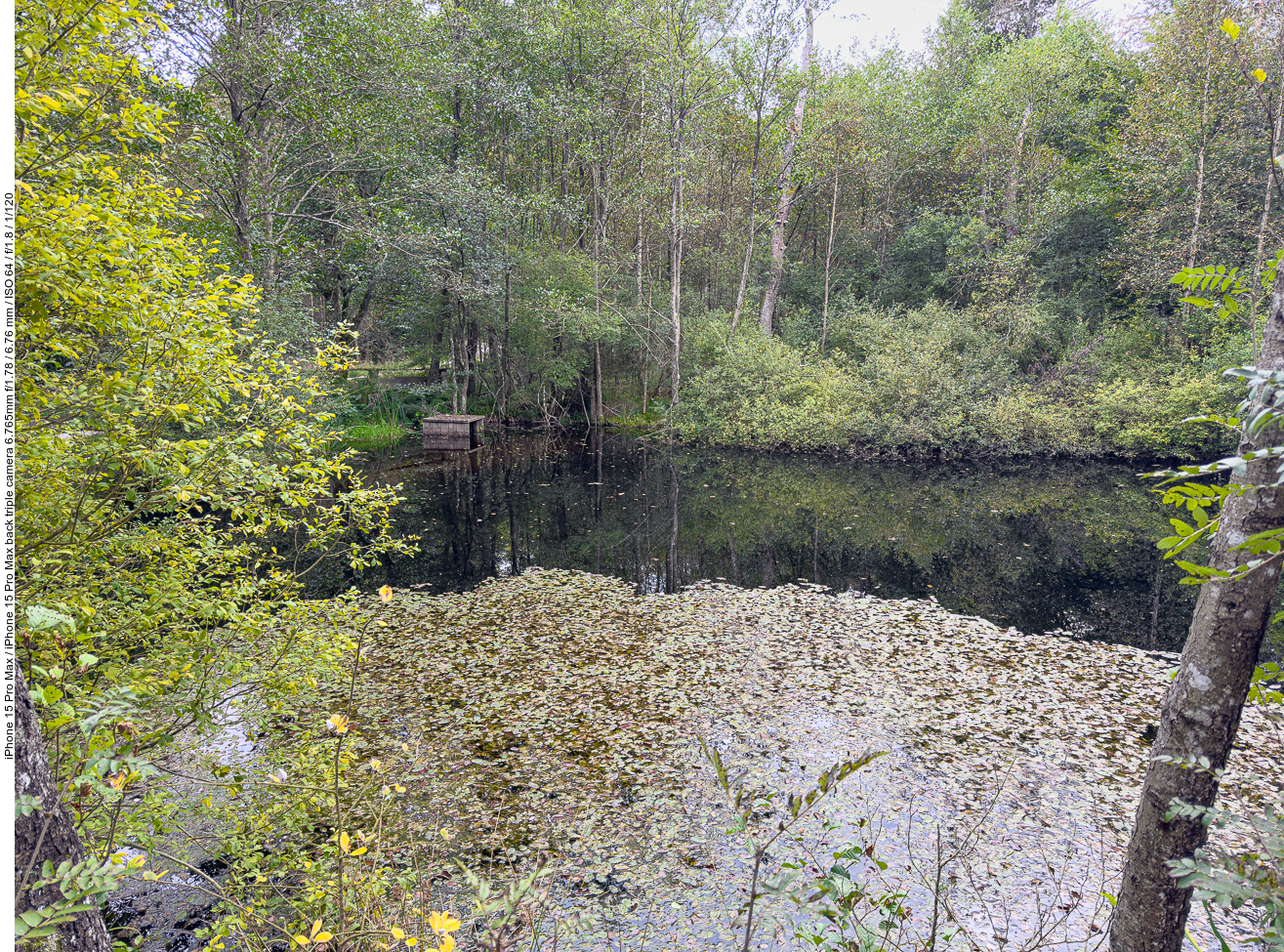 Am Thranenweier