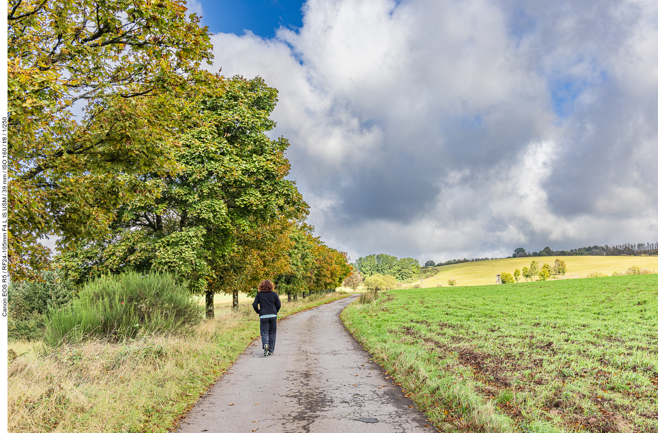 Dunkle Wolken am Himmel ...