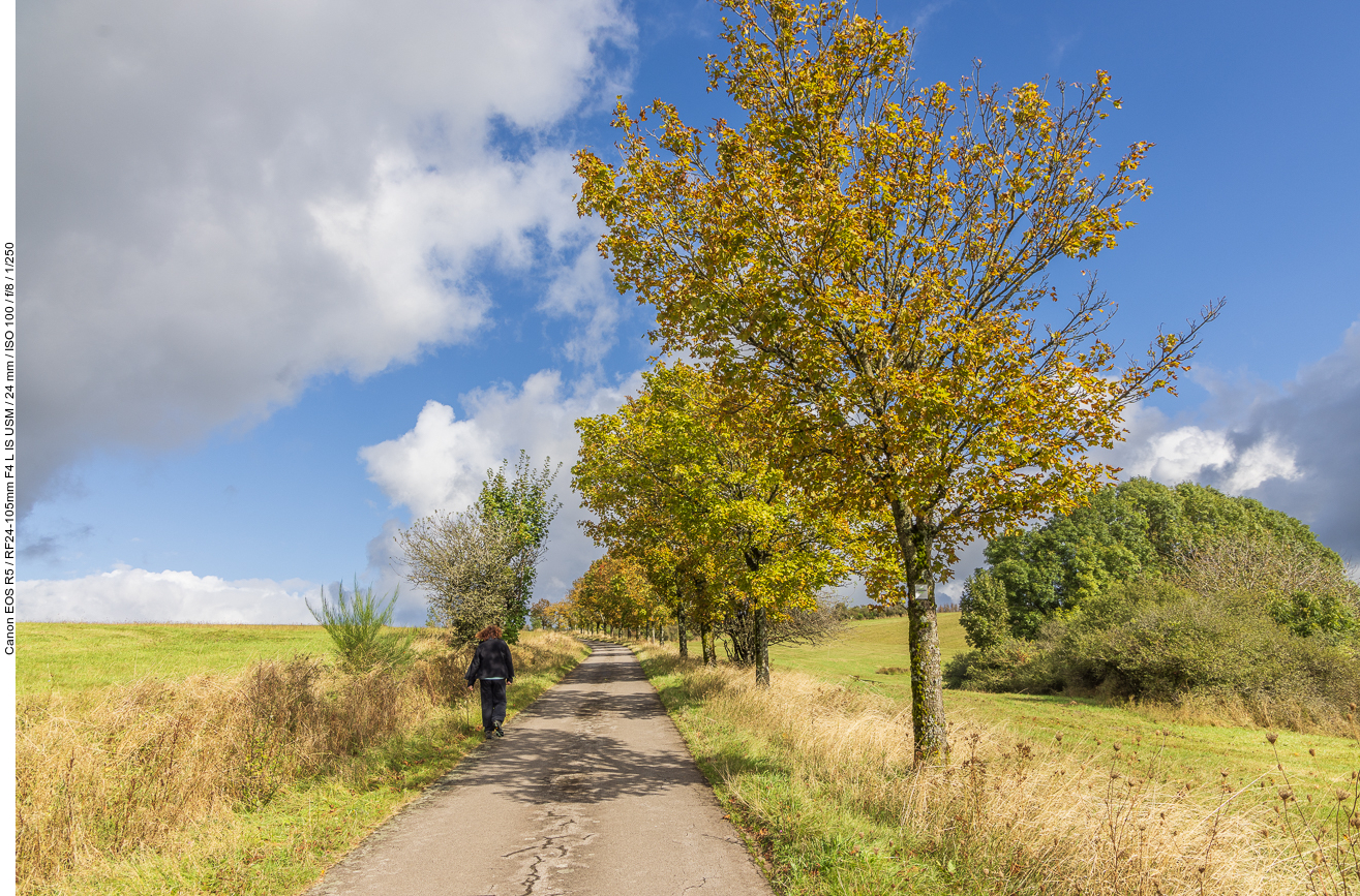 Ahorn-Allee