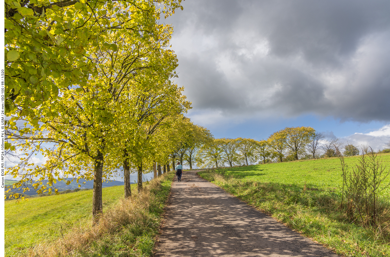 Halb-Allee auf dem Weg zurück zum Auto