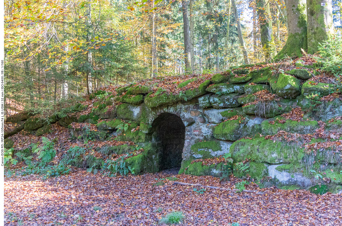 Bemooste Ruine