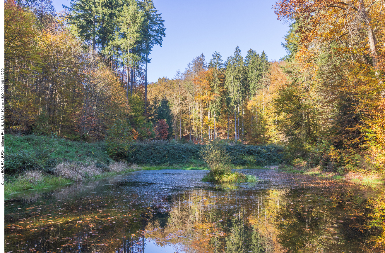 Kleiner Weiher