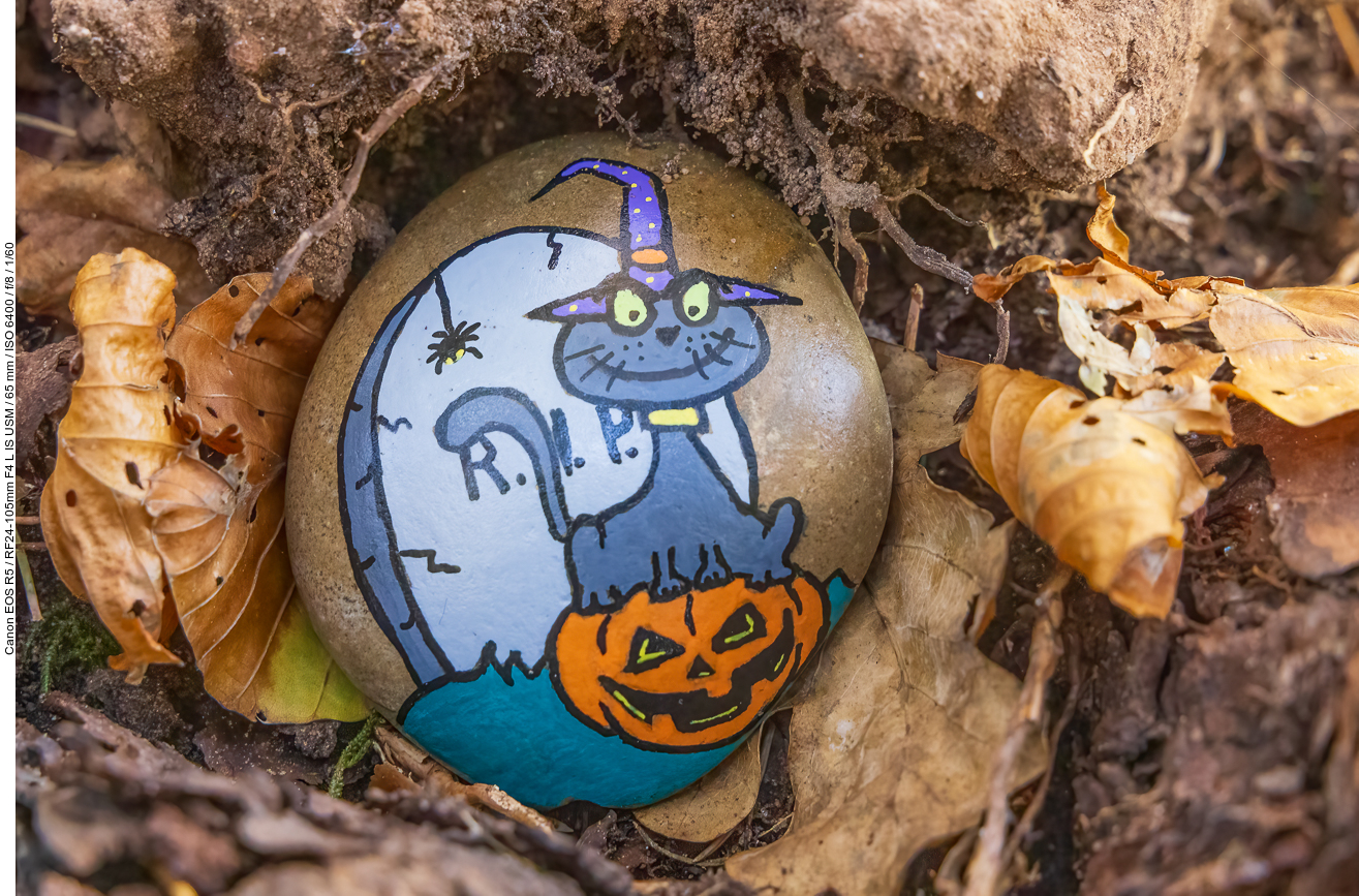 Schöner Saarstein zu Halloween