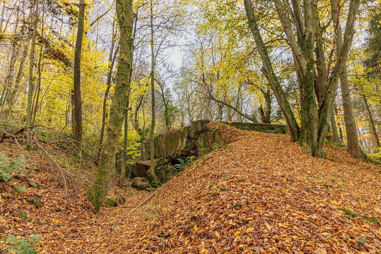 Alter Bunker