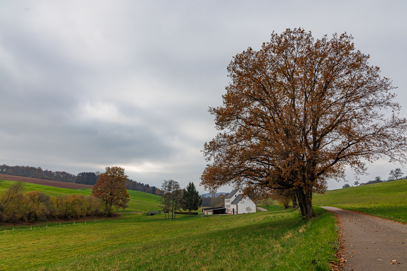 An der Rodmühle