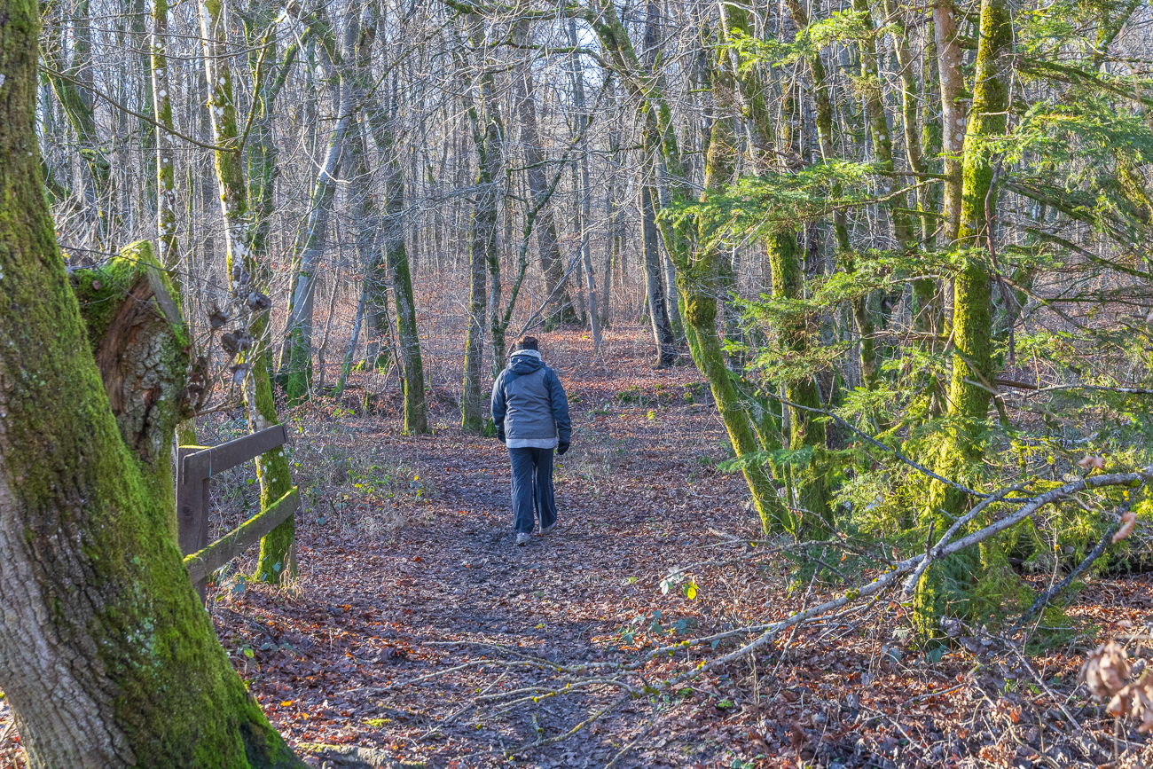 Beginn des Wanderwegs "Grenz-Brücken-Runde" am Angelsportverein Auersheimer e. V.