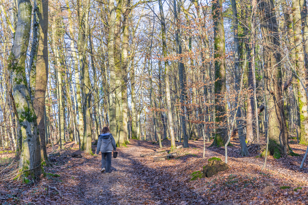 Matschiger Waldweg