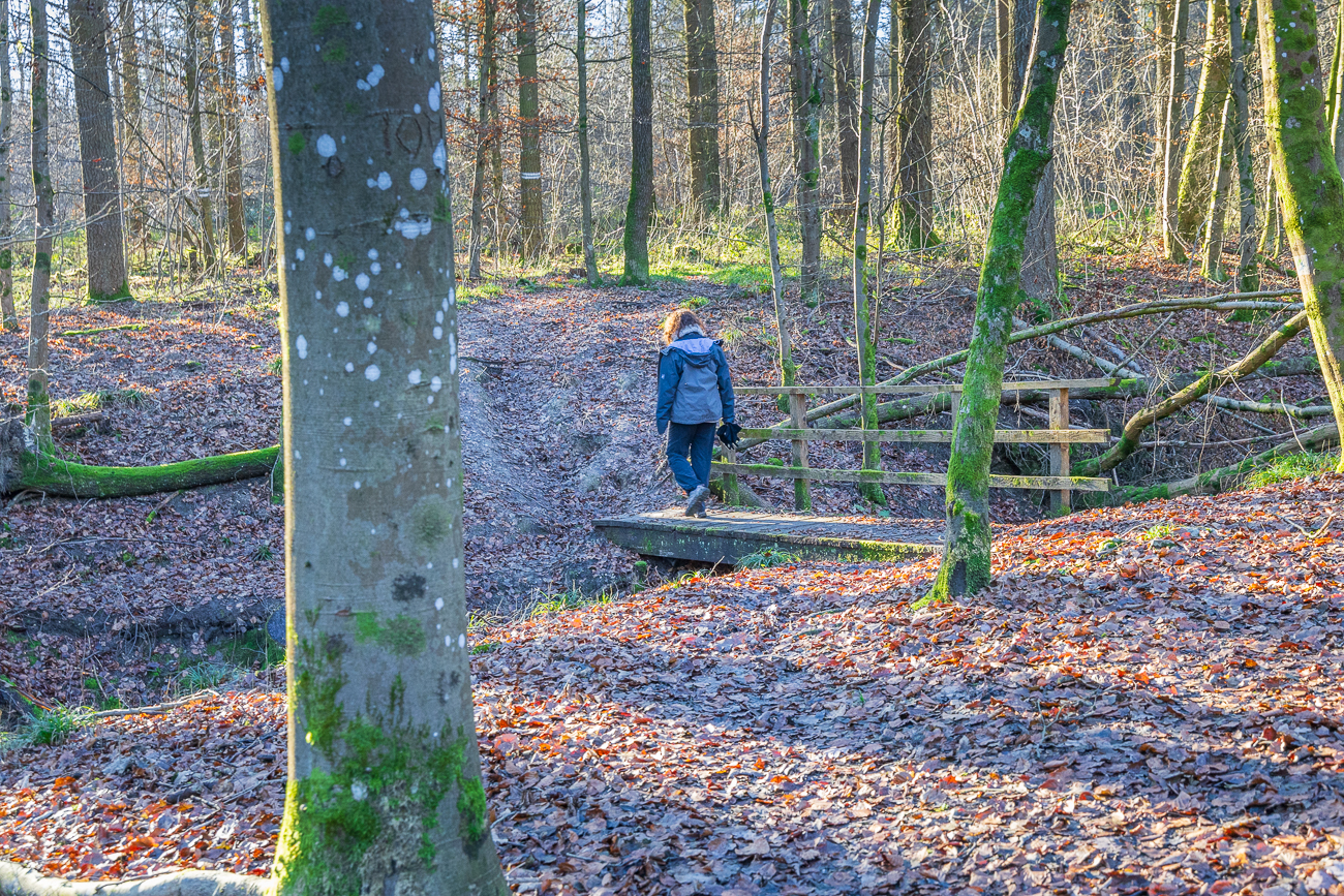 Letzte Brücke vor dem Ziel ;-)