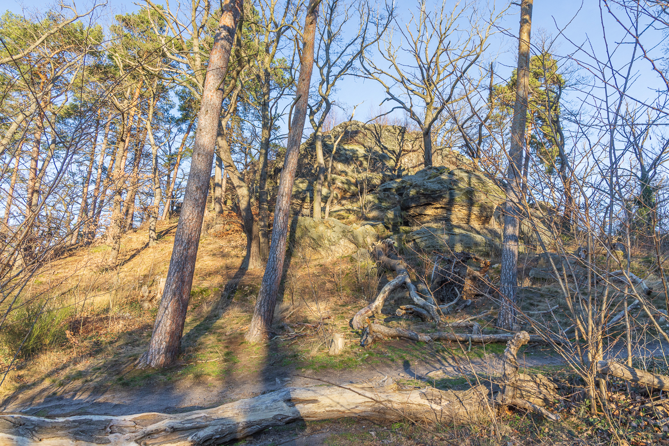 Einer der Felsen, welche die Teufelsmauer bilden