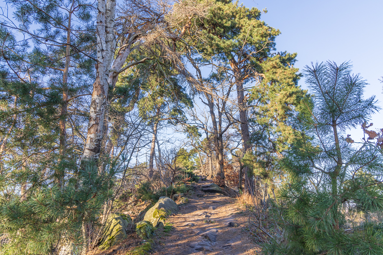 ... mit wenigen Steinen im Weg ;-)