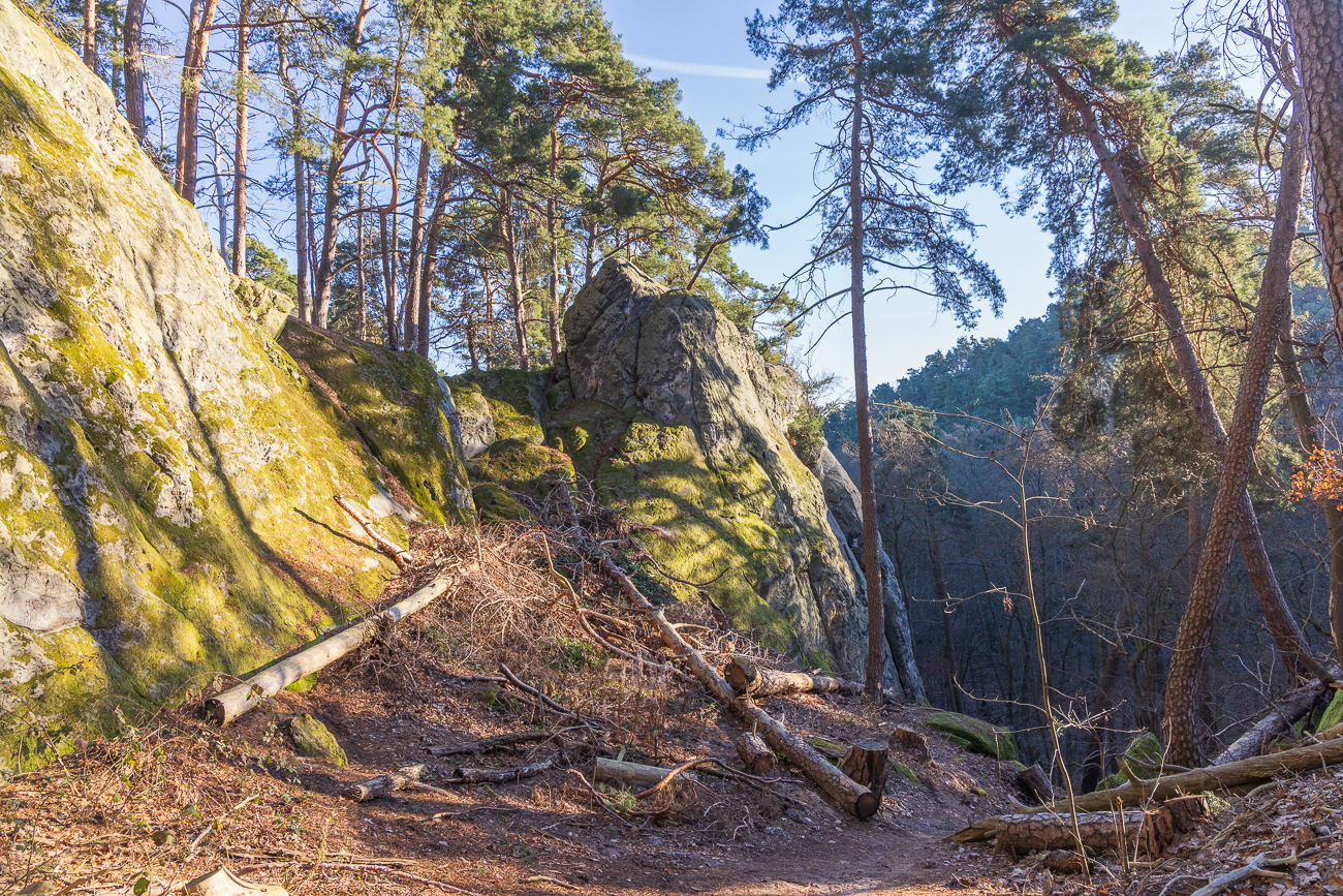 Ab hier geht es auf normalen Waldwegen weiter