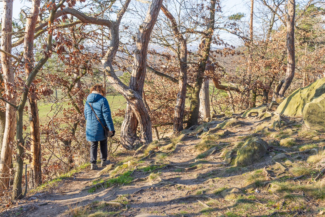 Der Rückweg verläuft unterhalb der Teufelsmauer ...