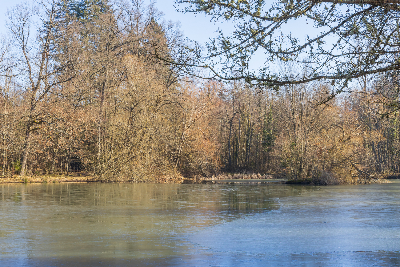 Am Seehaus-See
