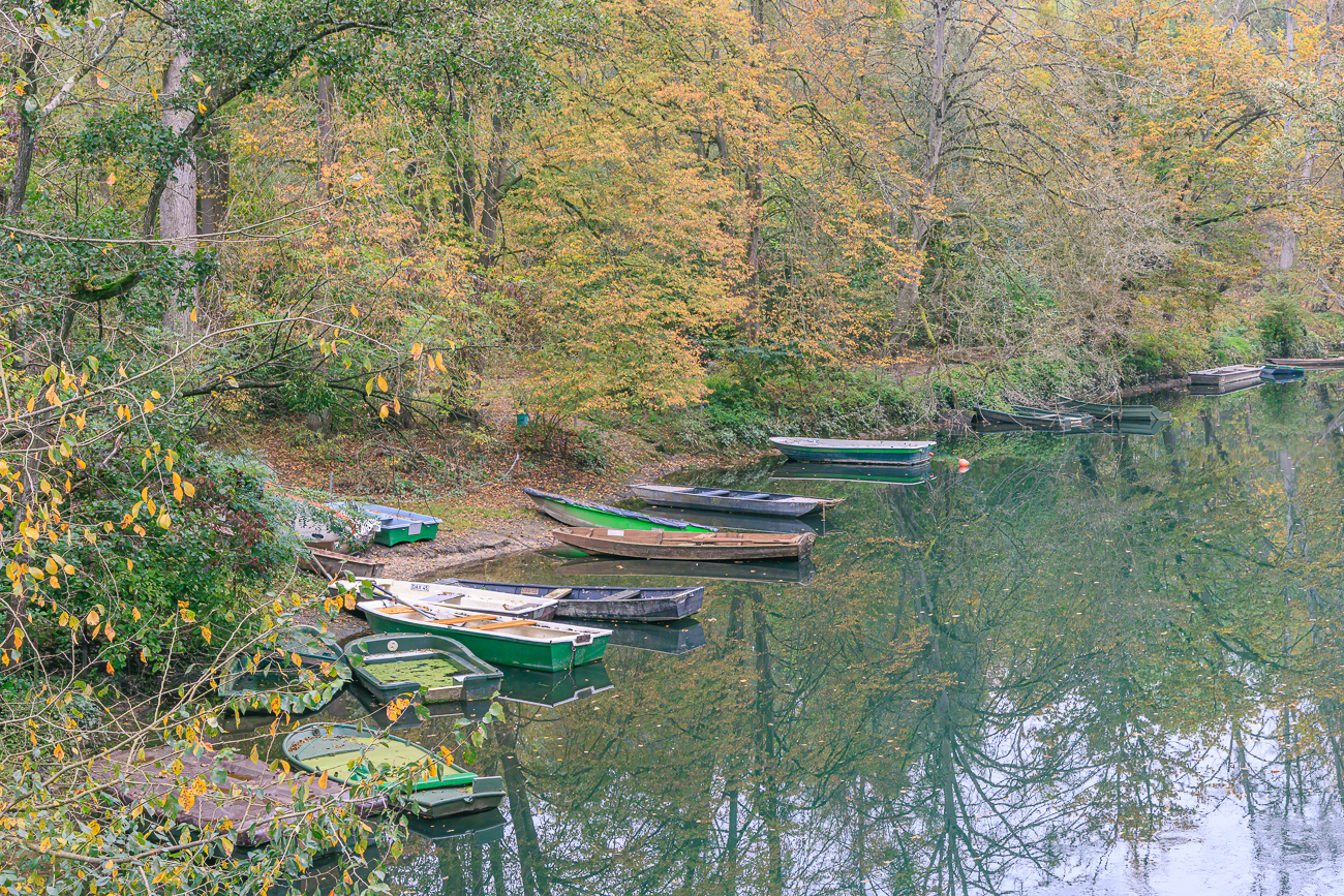 Boote am Altrhein