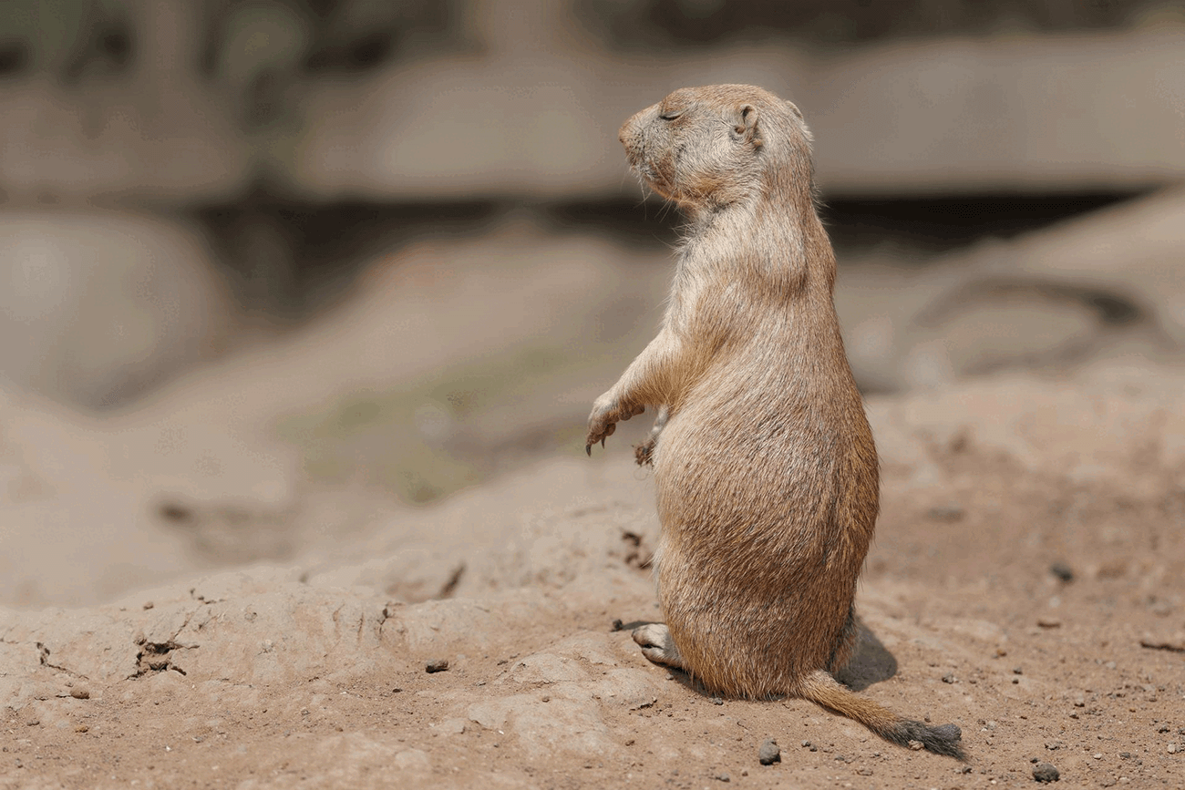Ich mache lieber mal die Augen auf