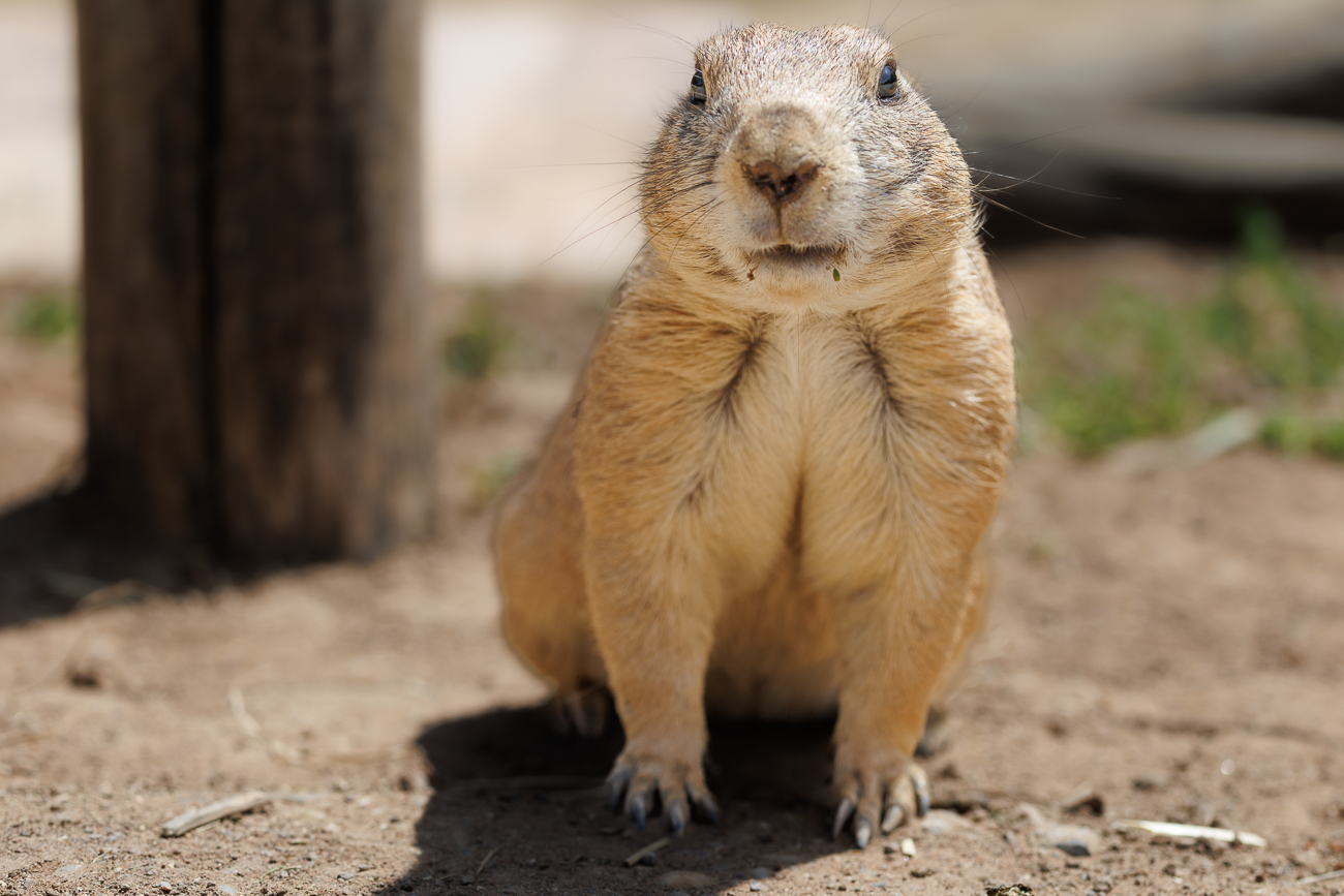 Ganz schön nahe ;-)