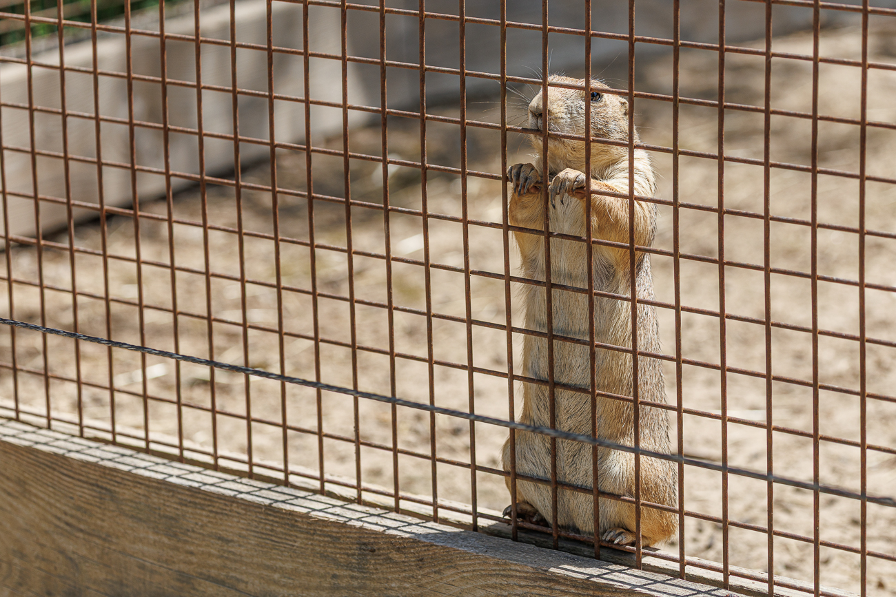 Ich will hier raus :-(