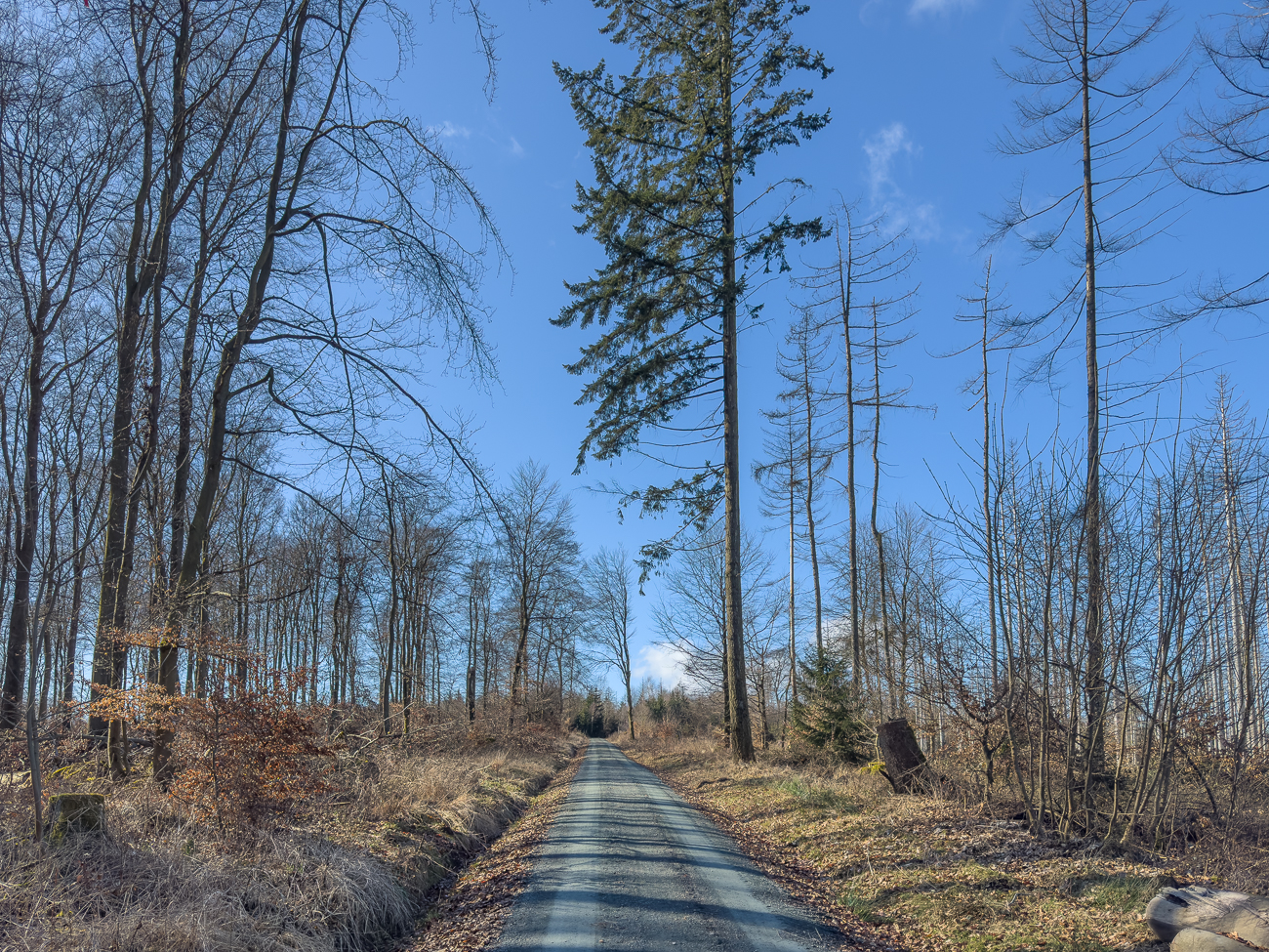 Und weiter geht es bergauf