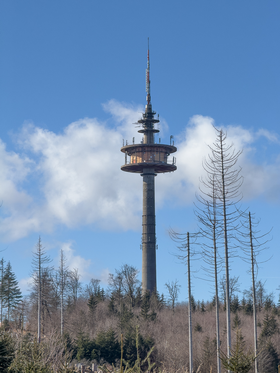 Auf dem Berg steht etwa 400 m südöstlich seines Gipfels der 133 m hohe Fernmeldeturm Hohe Wurzel, der in Stahlbetonbauweise errichtet wurde. Von dort und anderen Standorten aus wird das Rhein-Main-Gebiet im Gleichwellenbetrieb mit digitalem Fernsehen (DVB-T) versorgt. Außerdem wird von hier DABplus (Multiplex Kanal 12C Hessen-Süd) und UKW-Hörfunk (107,9 MHz "Rockland Radio") verbreitet.