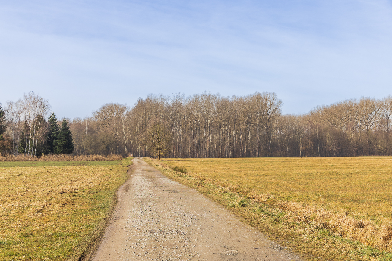 Dies war leider der falsche Weg ...
