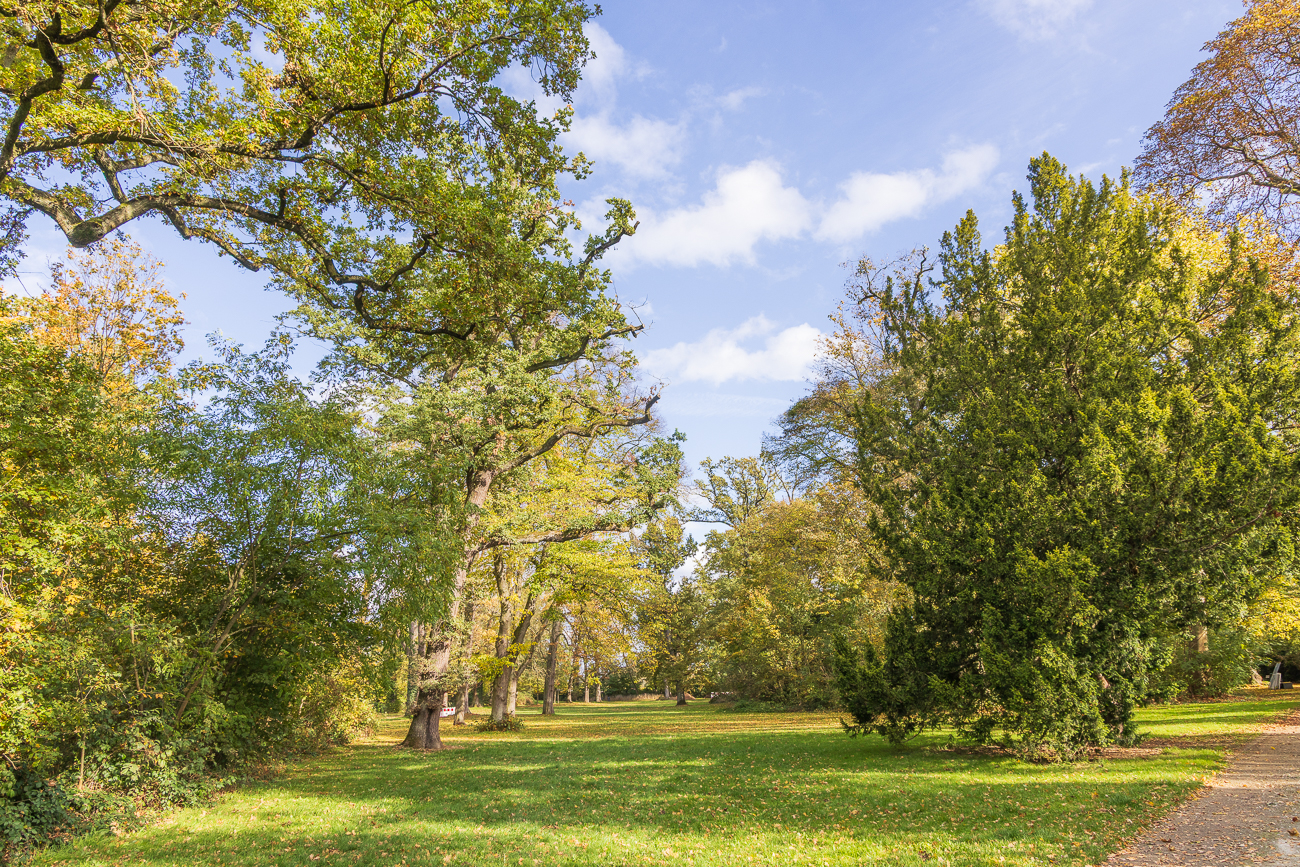 Im Schlosspark