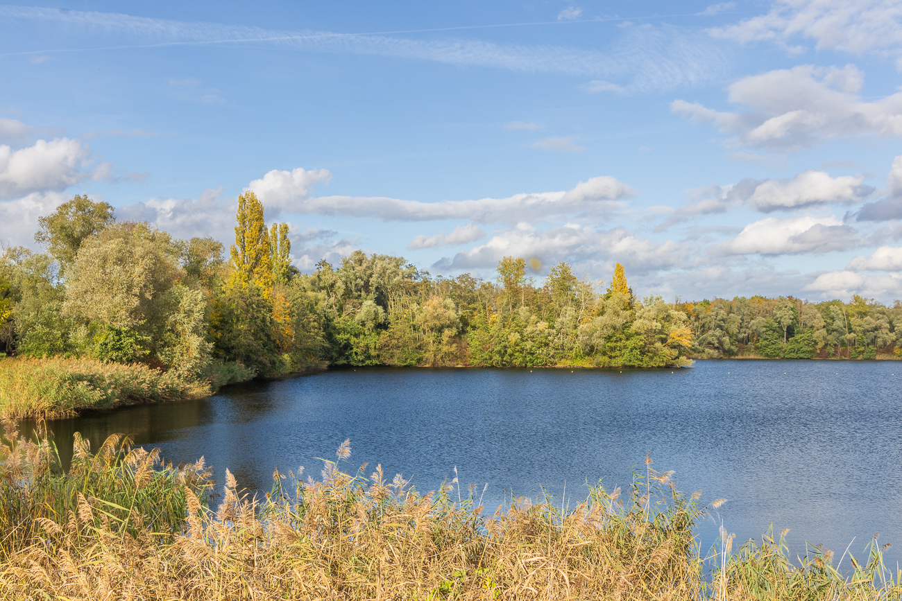 Zu einer anderen Jahreszeit sollen sich hier viele Wasserv&ouml;gel aufhalten