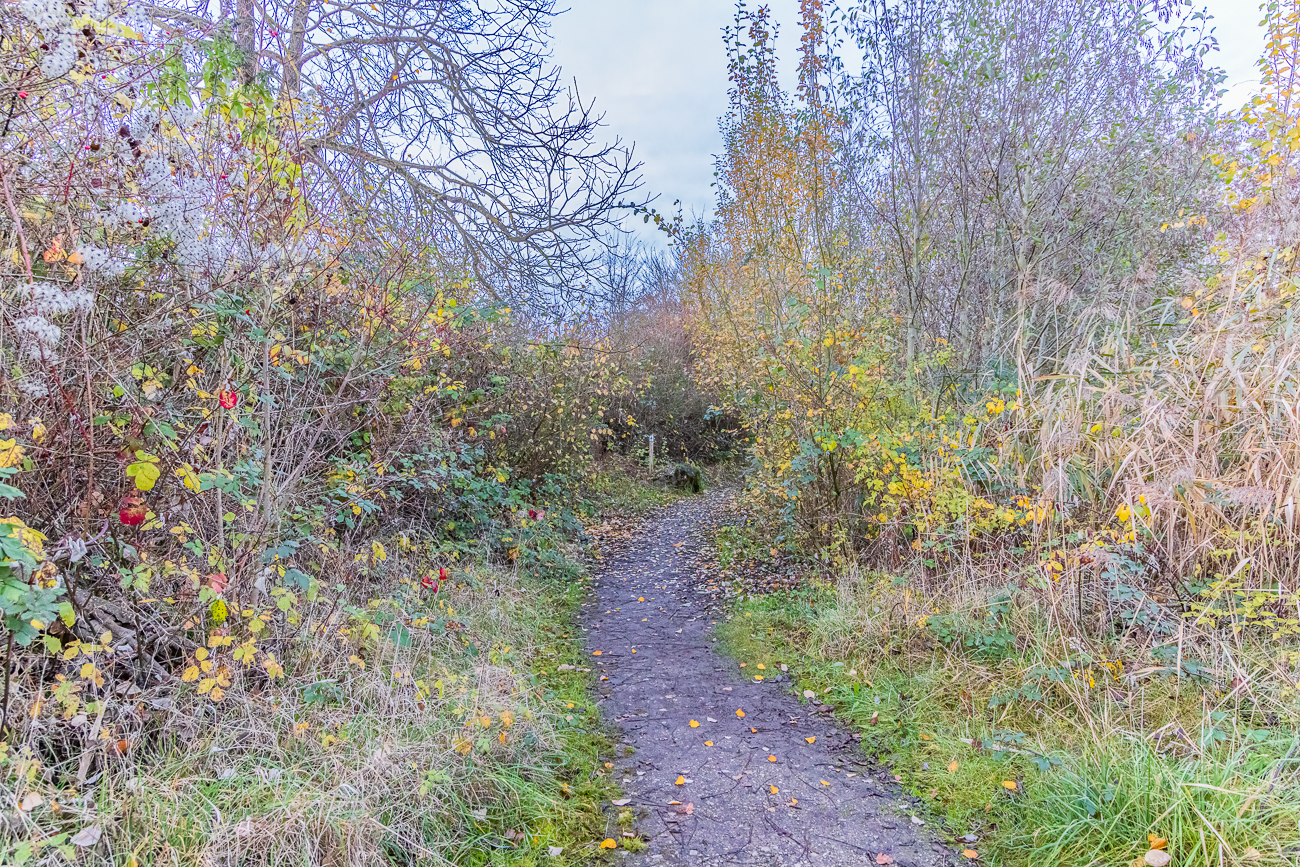 Wanderweg durch das Biotop Haff R&eacute;imech