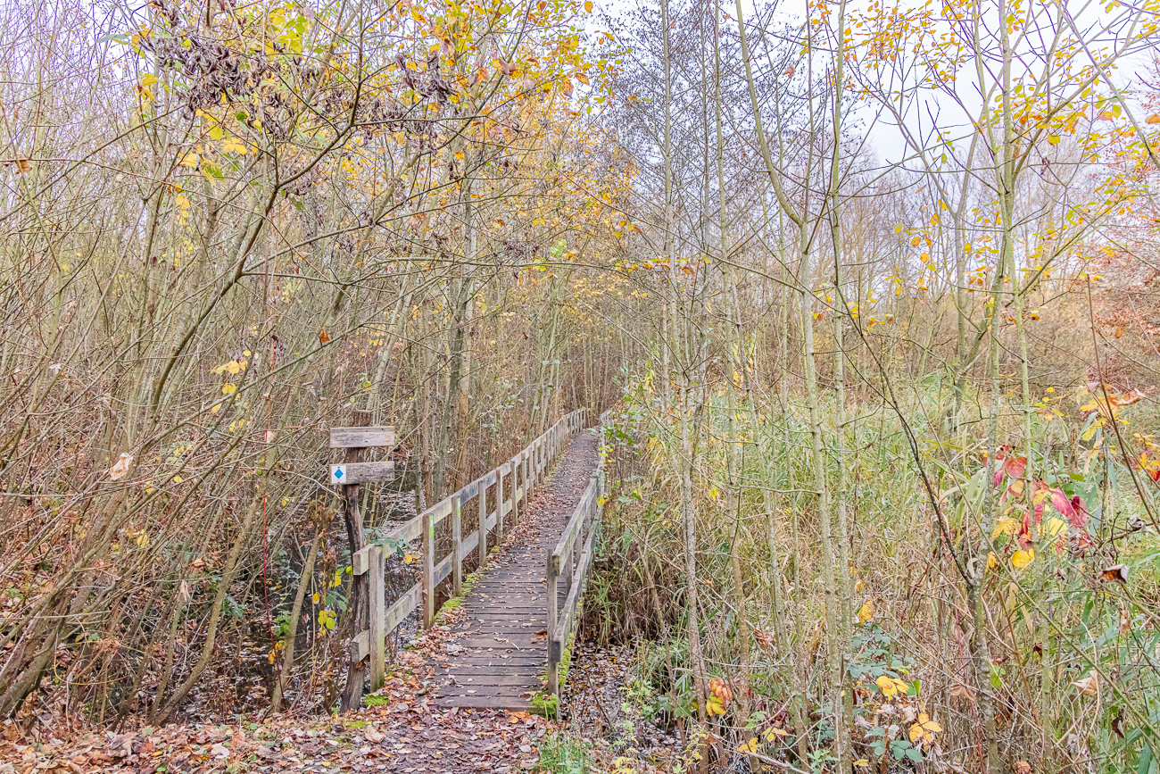 &Uuml;berall flie&szlig;t Wasser und muss &uuml;berbr&uuml;ckt werden
