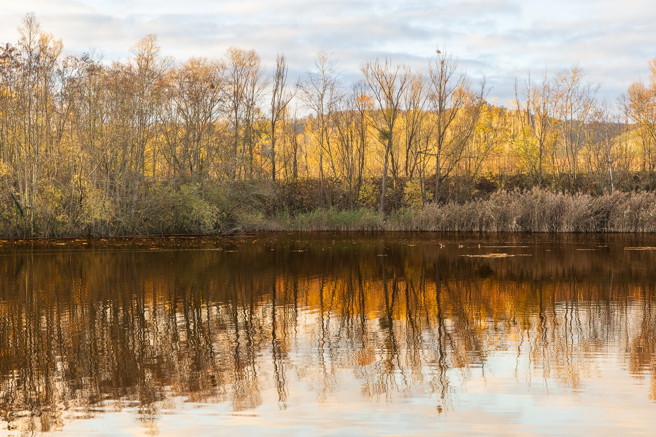 Sonnenlicht spiegelt sich im See