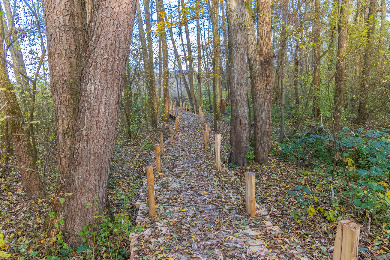 Neuer Holzweg &uuml;ber sumpfiges Gel&auml;nde