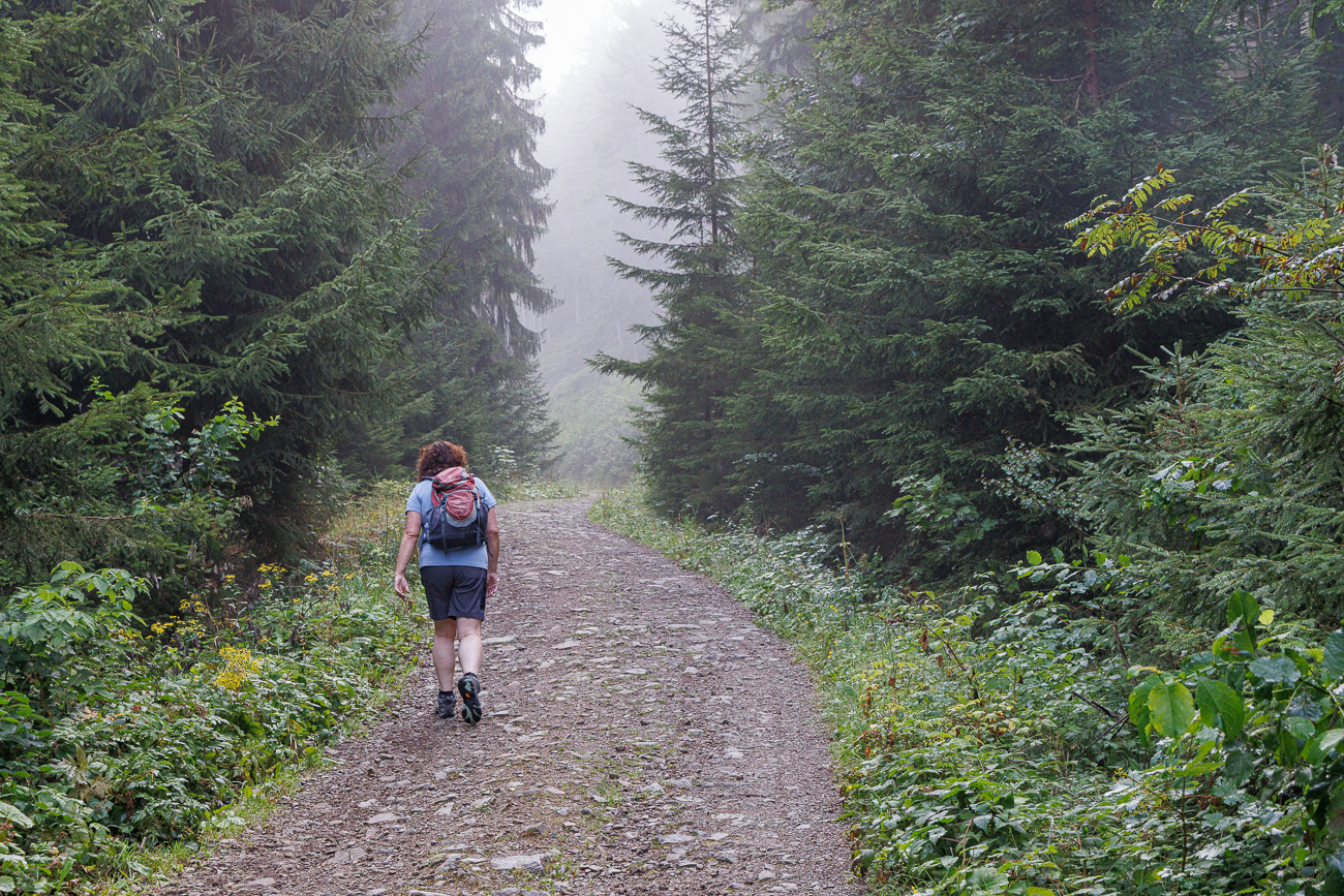 Immer noch in den Wolken unterwegs