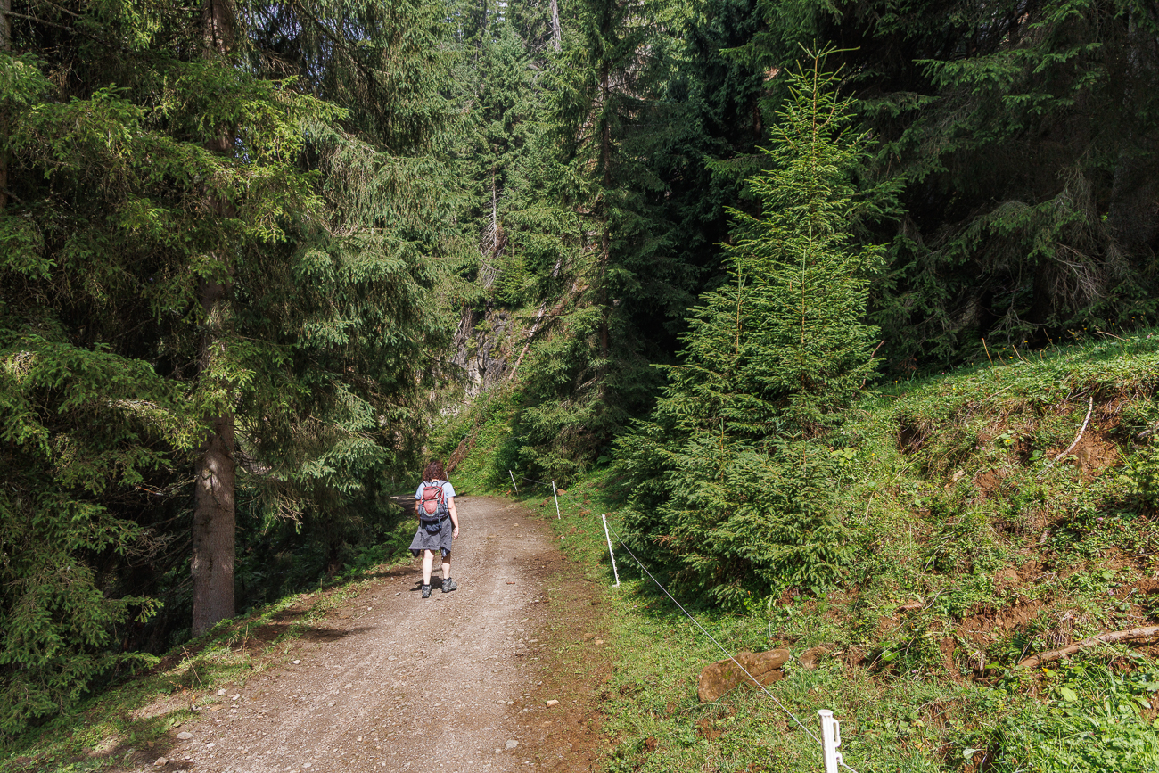Von nun an ging's bergab
