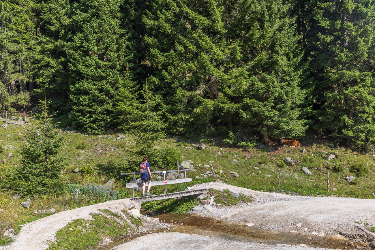 Brücke über einen Bach