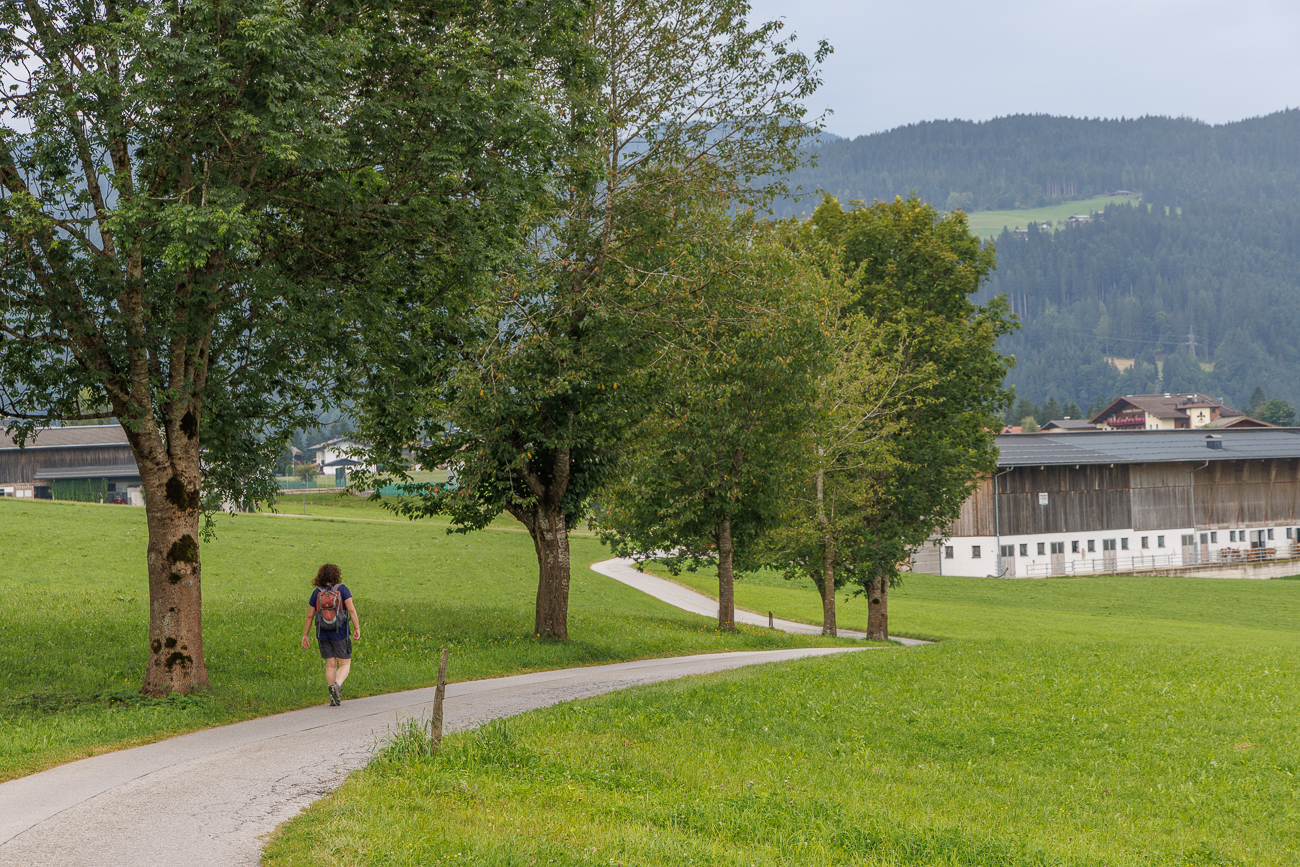 Schöner geschwungener Weg