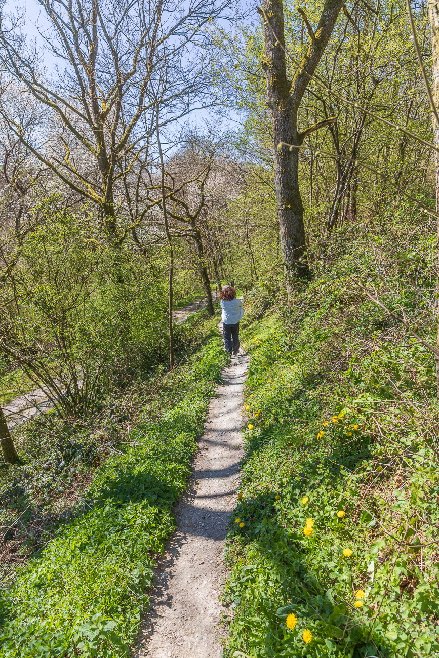Schmaler Pfad nach unten