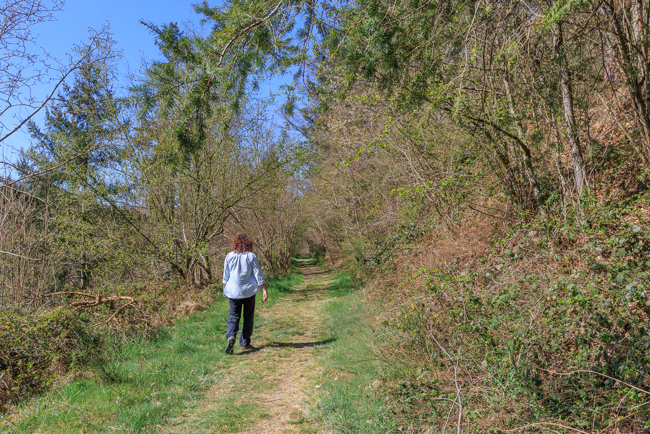 Blauer Himmel über einem schönen Weg
