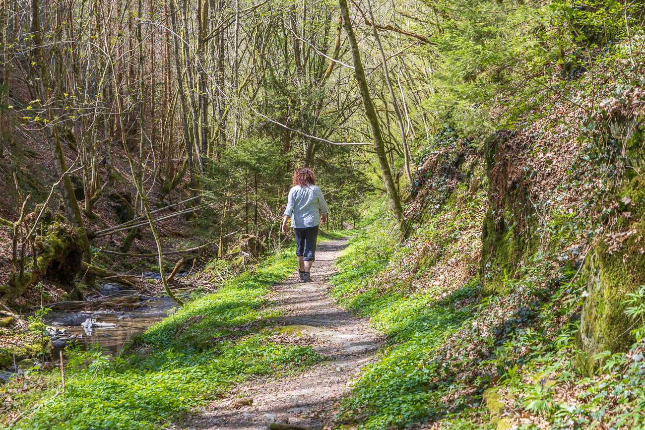 Weg entlang des Hitzelbach